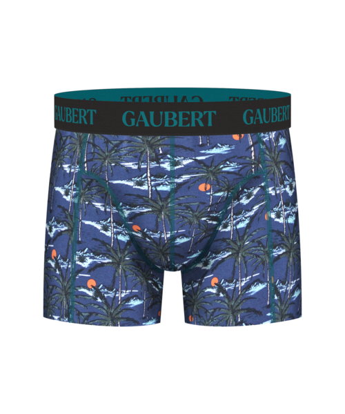 GAUBERT Bamboe boxershort voor mannen type 0018