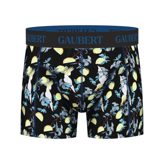 GAUBERT Bamboe boxershort voor mannen type 0019