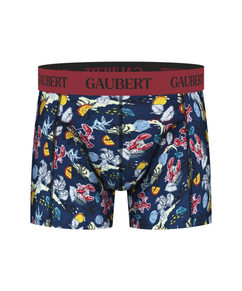 GAUBERT Bamboe boxershort voor mannen type 0020